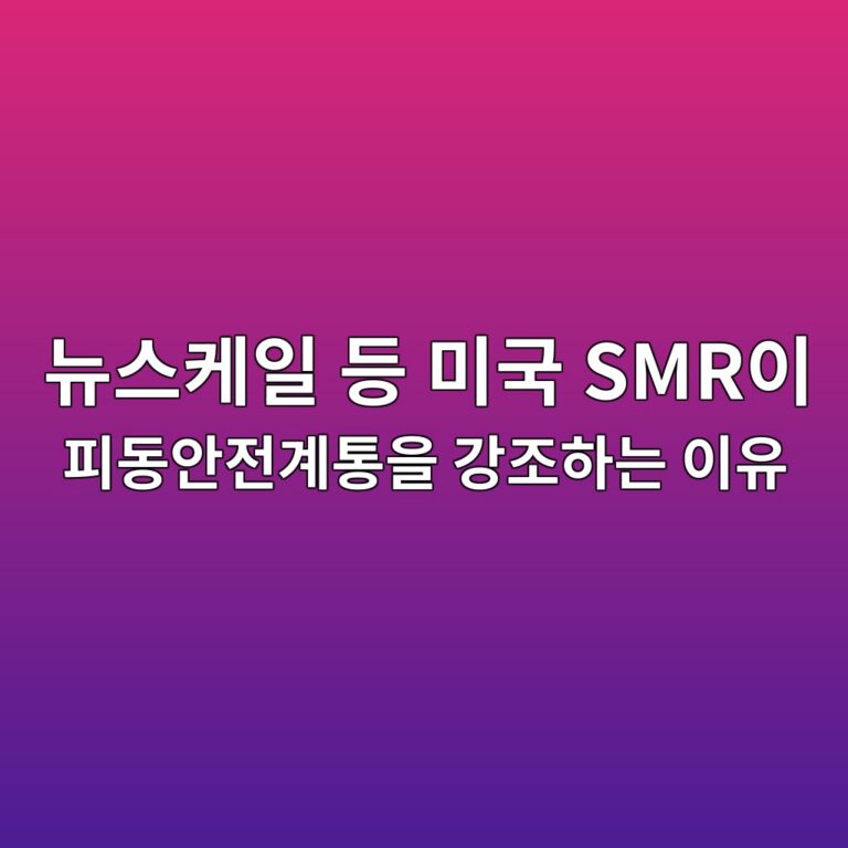 뉴스케일 등 미국 SMR이 피동안전계통을 강조하는 이유 3 뉴스케일