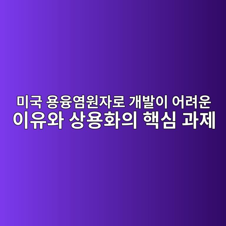 미국 용융염원자로 개발이 어려운 이유와 상용화의 핵심 과제 9 미국 용융염원자로 개발l