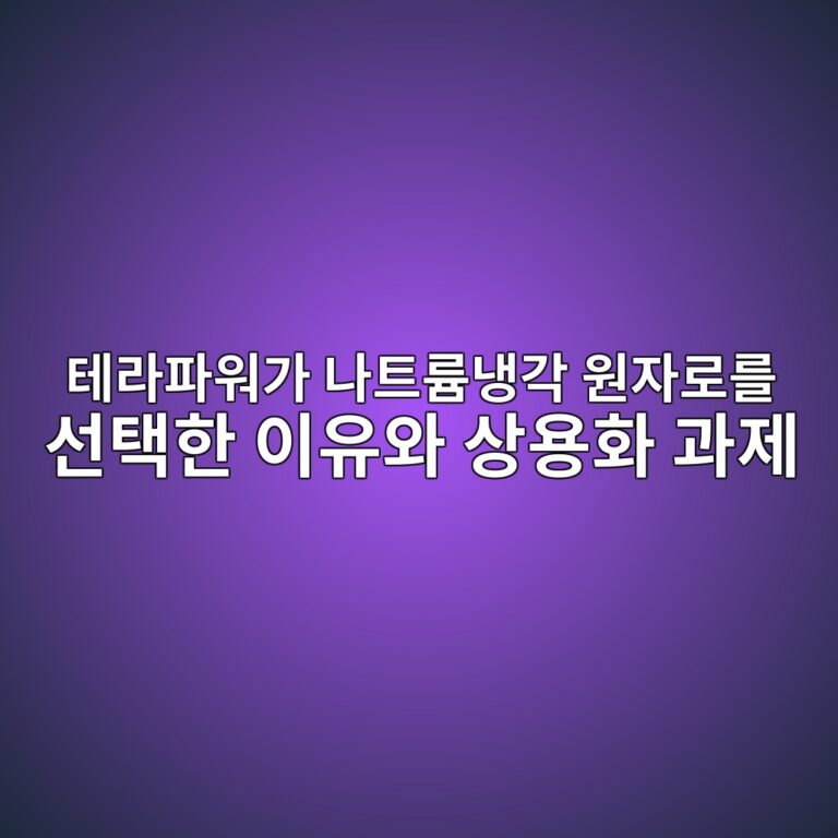 테라파워가 나트륨냉각 원자로를 선택한 이유와 상용화 과제 7 테라파워